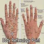 body reflexology point android application logo